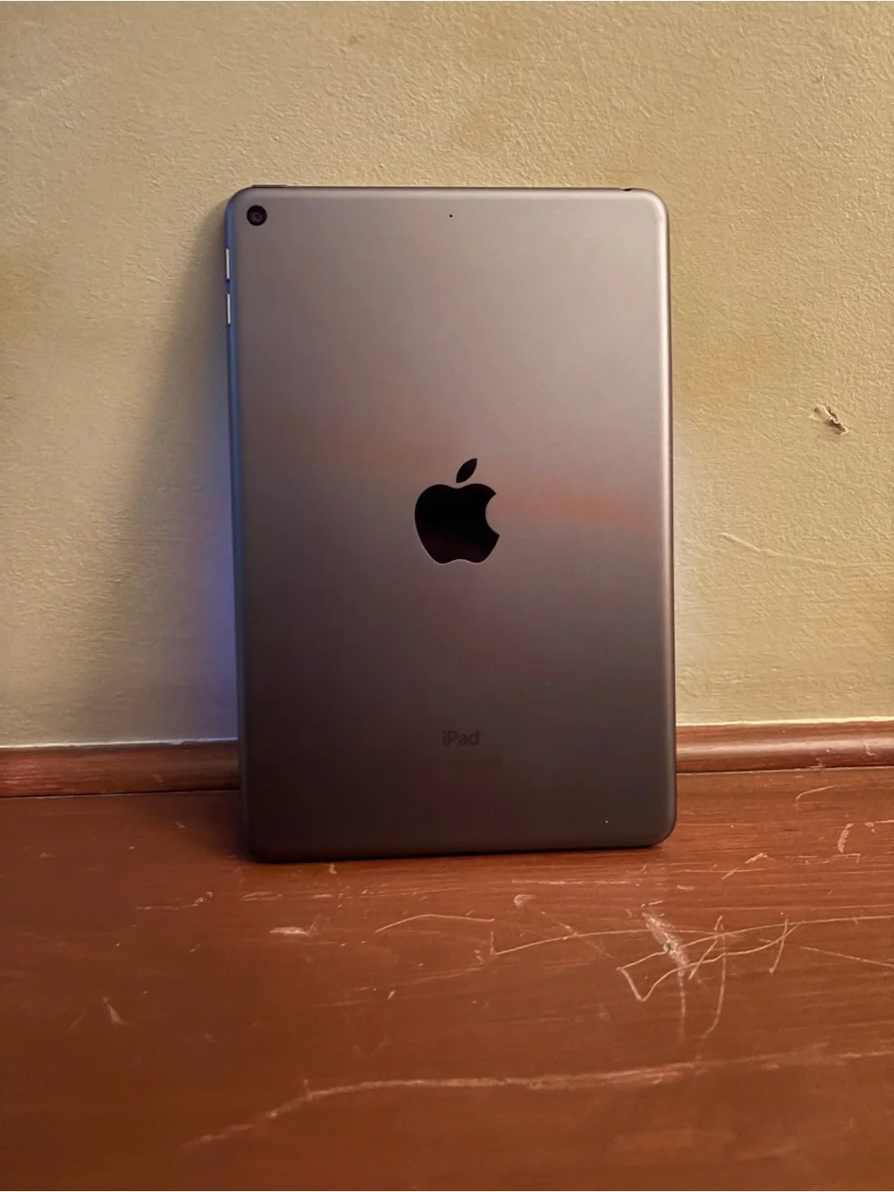 Apple iPad Mini Black with Colorful Display